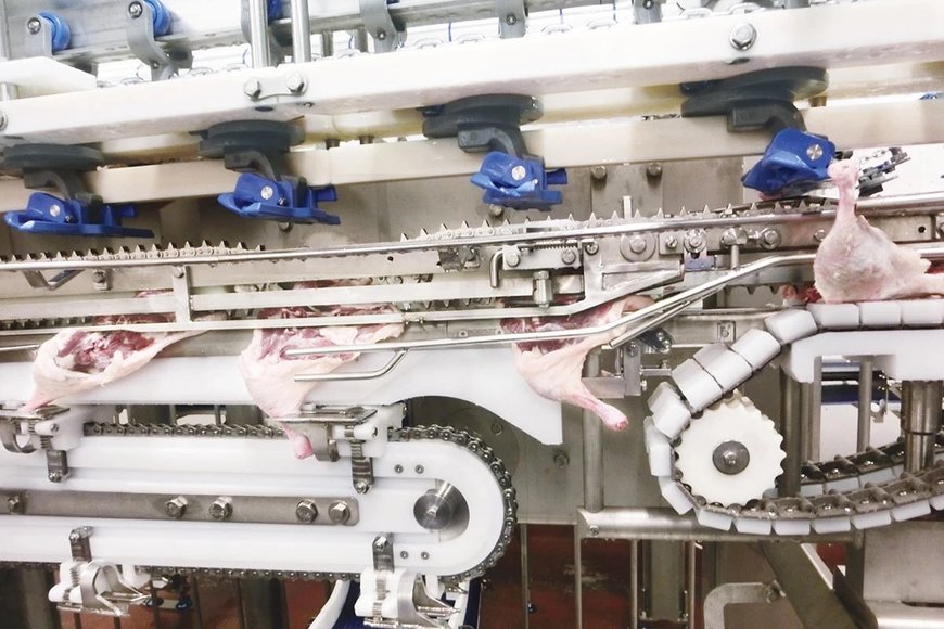 Marel Presents Anatomic and non-anatomic automatic chicken cut-up